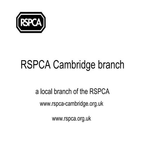 RSPCA cambridge branch