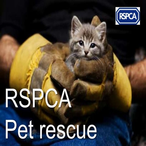 RSPCA - Pet rescue