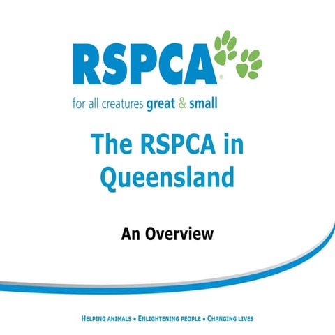 Rspca qld overview feb 2011
