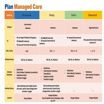 Managed Care Plan for Private and Corporate | PDF