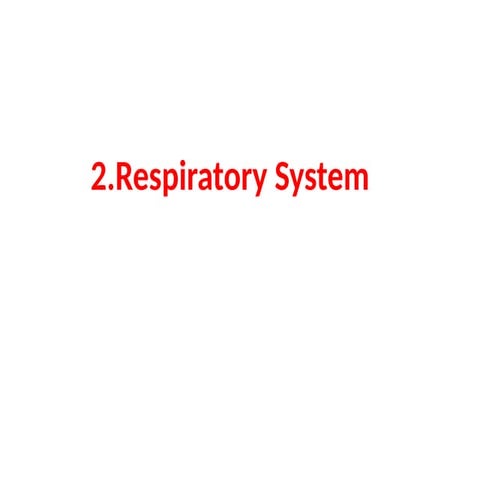 Respiratory system and functions PPT.pptx