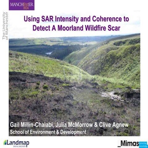 Using SAR Intensity and Coherence to Detect A Moorland Wildfire Scar