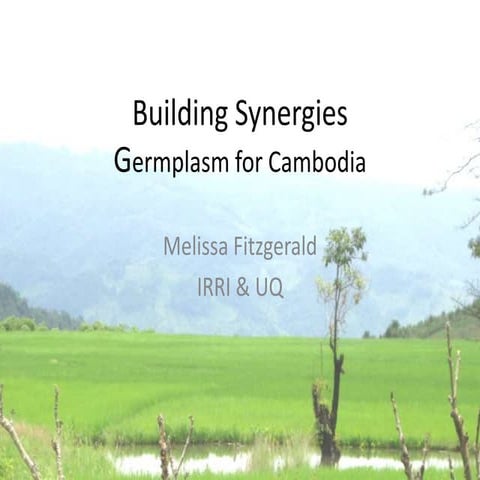 Building synergies. Germplasm for Cambodia