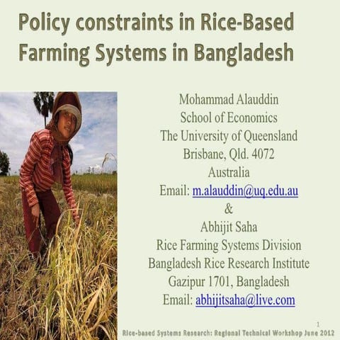 Policy constraints in Rice-Based Farming Systems in Bangladesh