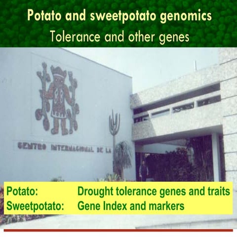 Drought tolerance genes and traits/Gene Index and markers