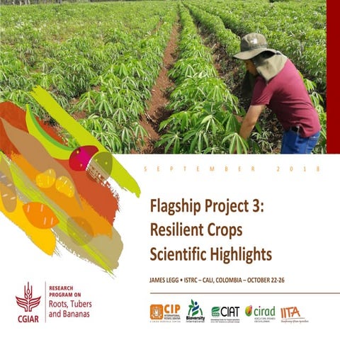 Resilient crops - Flagship Project 3 overview, ISTRC 2018