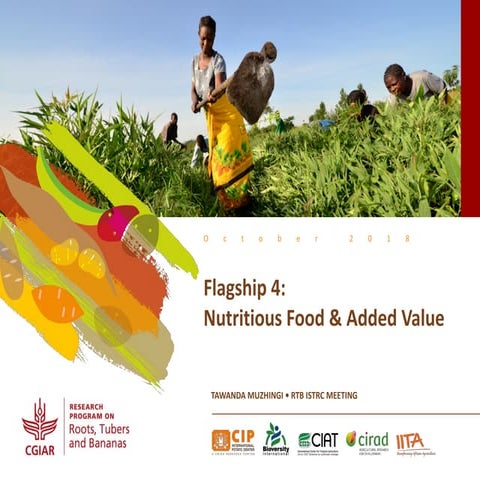 Nutritious food and added value - Flagship Project 4 overview, ISTRC 2018
