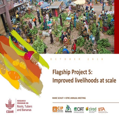 Improved livelihoods at scale - Flagship Project 5 overview, ISTRC 2018