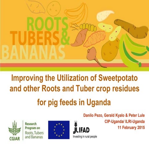 Improving the utilization of sweetpotato and other roots and tuber crop resid...