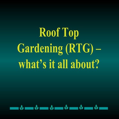 Rooftop Gardening
