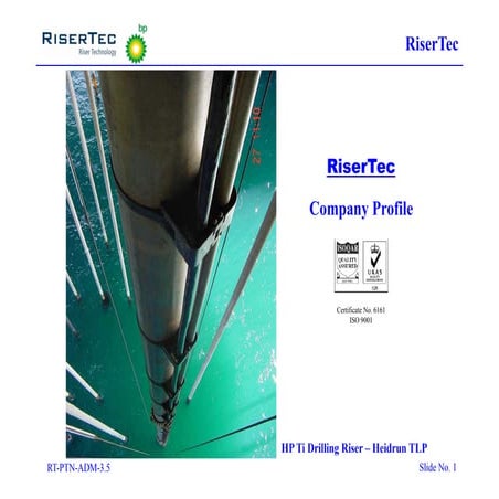 RT-PTN-03.5 (Company Profile Nov 2011 Linkedin)