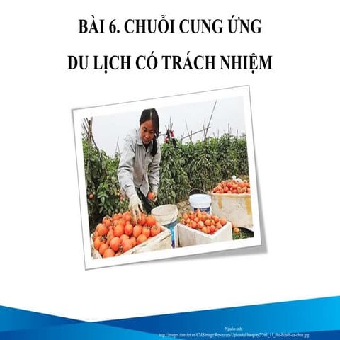 Bài 6: Chuỗi cung ứng du lịch có trách nhiệm