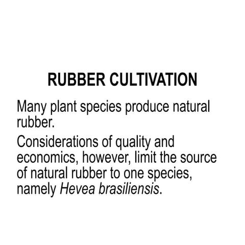 Rubber