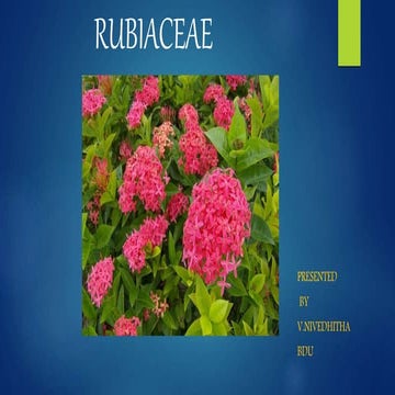 Rubiaceae