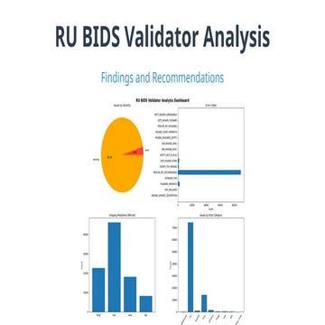 RU BIDS Validator Analysis_ Findings and Recommendations.pptx