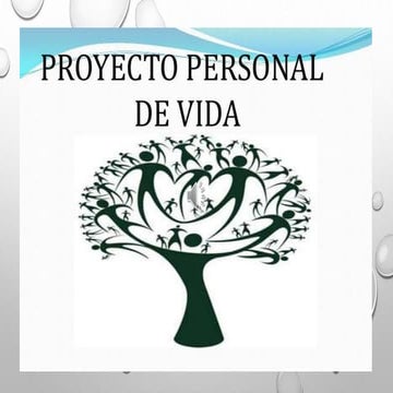 Rubio gutierrez jose rodrigo