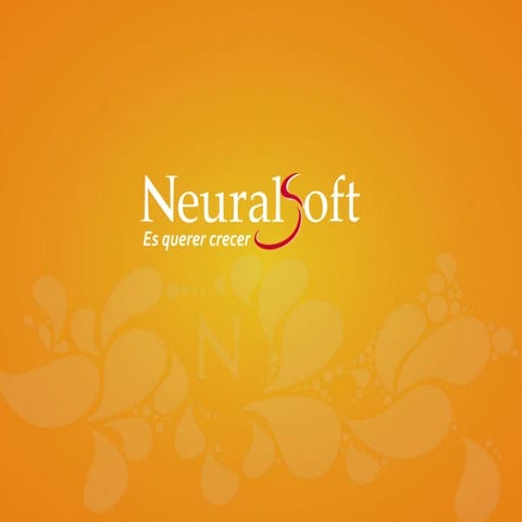 Rubiro NEURALSOFT