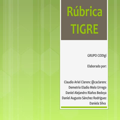 Qué es y para qué sirve la Rubrica TIGRE