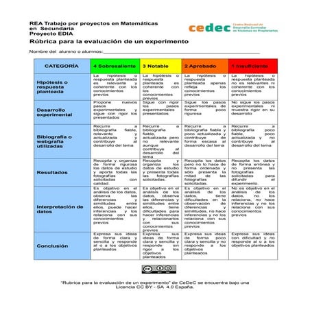 Rubrica para evaluar investigaciones o experimentos (Matemáticas)