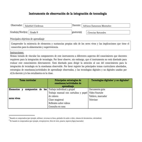 Rubrica tpack (1)adriana