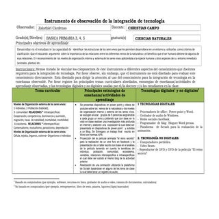 Rubrica tpack christian campo