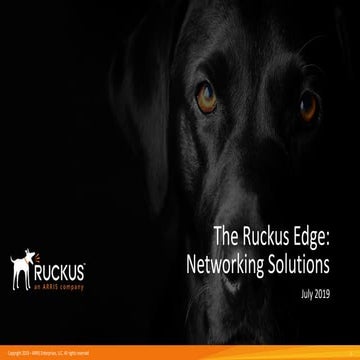 The Ruckus Edge: Networking Solutions