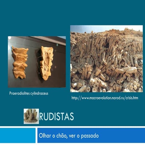 Rudistas | PDF