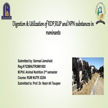 RUDP and RDP.pptx rumin degradable protein | PPTX
