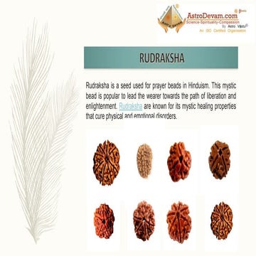 Rudraksh | PPTX