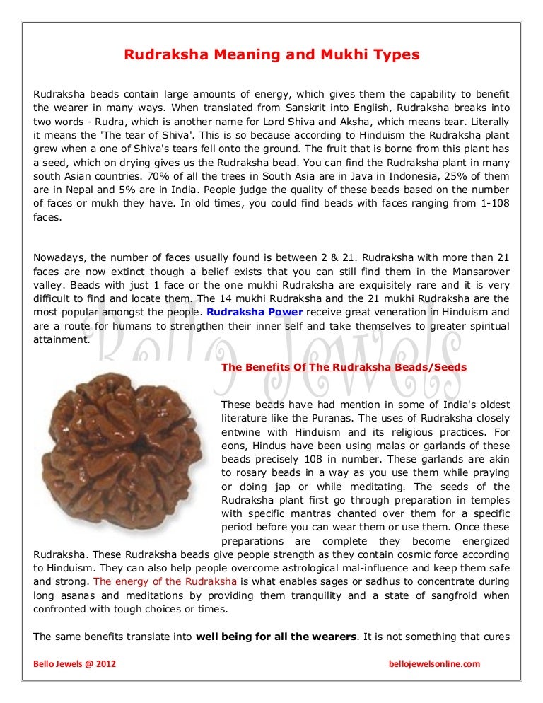 photo Rudraksha Benefits In Hindi rudraksha meaning and mukhi types