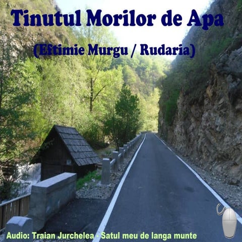 Rudăria   ţinutul morilor de apă