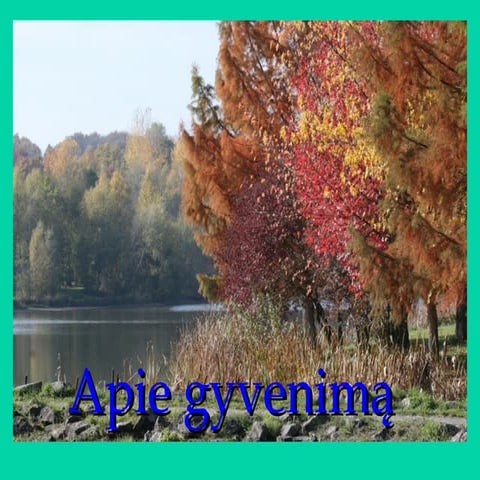 Ruduo_2012_(2).ppt------------------------- | PPT
