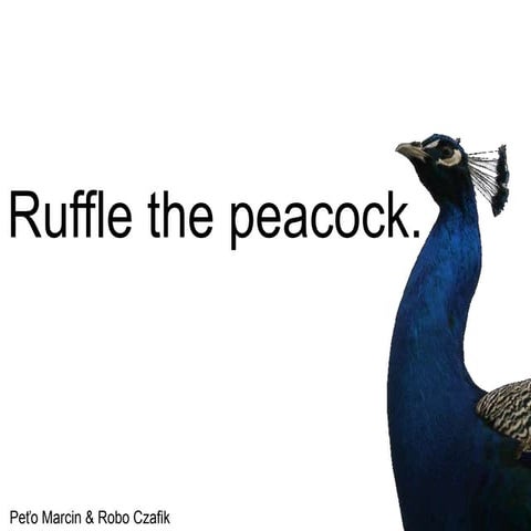 project report on peacock indu. | PPTX