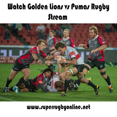 Rugby golden lions vs pumas live stream