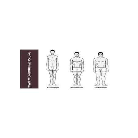 What bodytype are you? | PDF