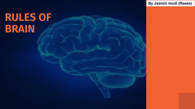 Rules of brain by jasmin (modi