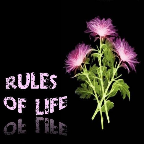 Rules Of Life | PPT