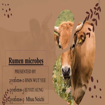 Rumen.pptx