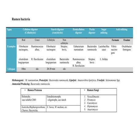 Rumen and ecosysytem
