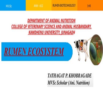 RUMEN ECOSYSTEM AND CLASSIFICATION OF RUMEN MICROBES.pptx