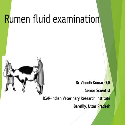 Rumen fluid examination