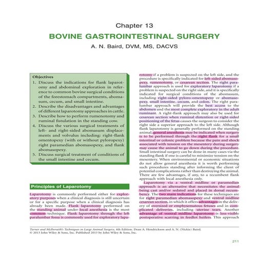 Rumentomy.pdffffffffffffffffffffffffffffffffffffffff | PDF