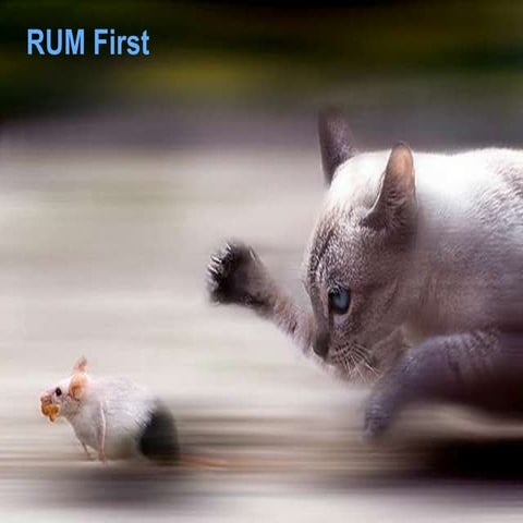 "Rum First" NYC Webperf Meetup