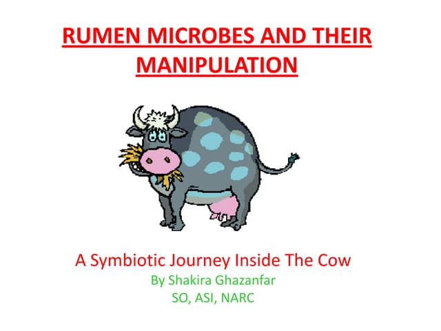 Ruminants ( Shakira sulehri)
