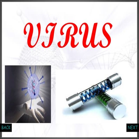 Viruses | PPTX