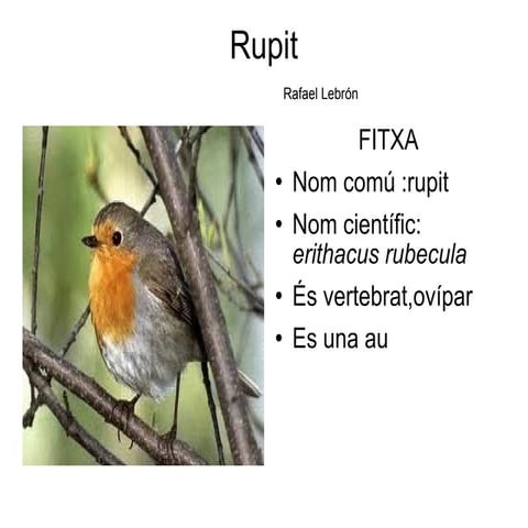 Cuc de terra | PPTX