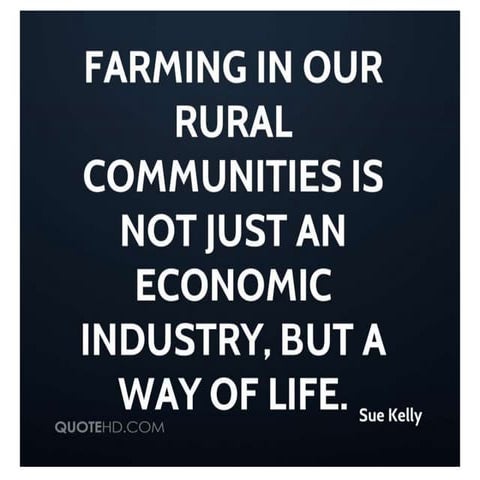 Rural and Urban develoment  Aloys new  .pptx