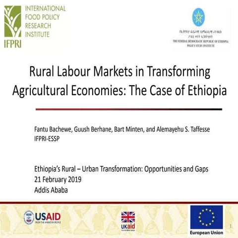 Rural labour markets in transforming agricultural economies the case of ...