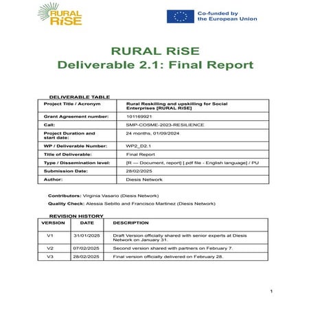 Rural Reskilling and upskilling for Social Enterprises Report | PDF