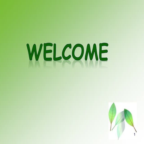 Empowerment of rural women in India 